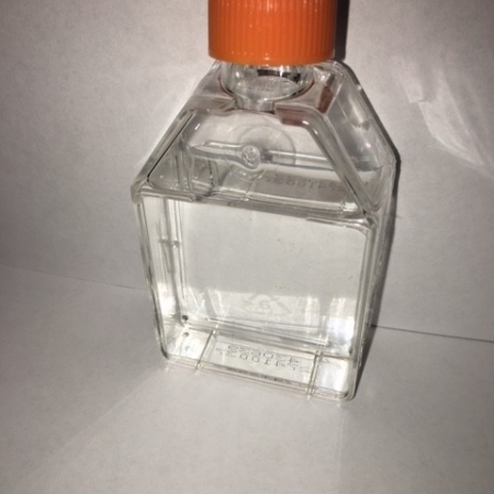 Clear bottle with orange lid containing C.Z. Nutrients for growing algae.