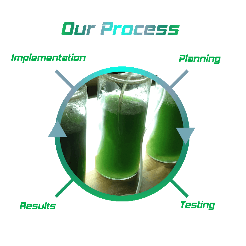 diagram of the algae expert process steps: planning, testing, results, and implementation